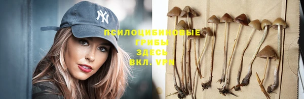 метамфетамин Покачи