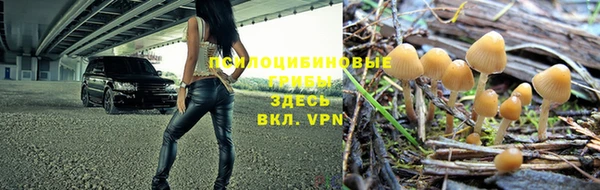 метамфетамин Покачи