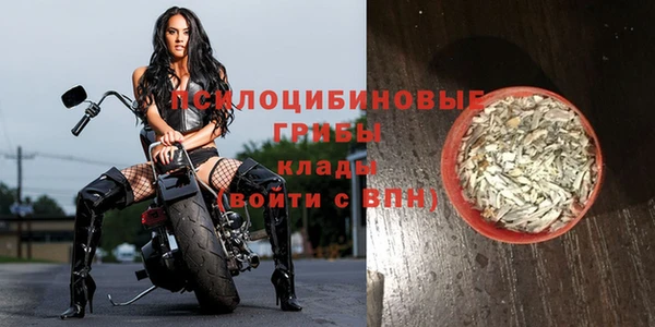 скорость Воткинск