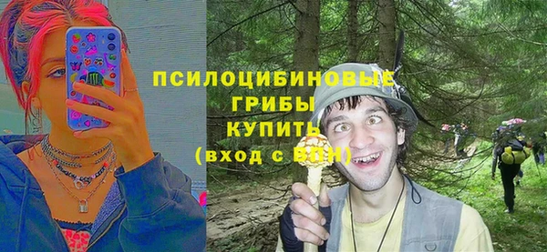 хмурый Покров